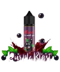 ナイスミートユー パープルブラスト フリベースニコチン入りリキッド3mg 60ml