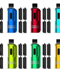 REVOL 2600 4-in-1 ニコチン入り使い捨てベイプ